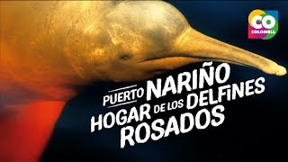 Puerto Nariño y los delfines rosados [upl. by Nauqe860]