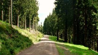 Wandern Thüringer Wald Rennsteig bei Oberhof [upl. by Julina]