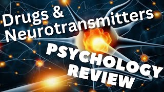 What Are Neurotransmitters and How Do We Approach Medications [upl. by Kra368]