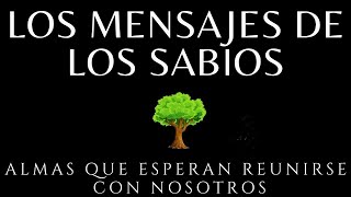 Los mensajes de los sabios Brian weiss Audiolibro completo en español voz humana [upl. by Livvi657]