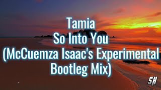 Tamia  So Into You McCuemza Isaacs Experimental Bootleg Mix [upl. by Marigold]