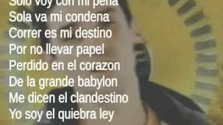 Manu Chao  Clandestino Lyrics [upl. by Aettam]