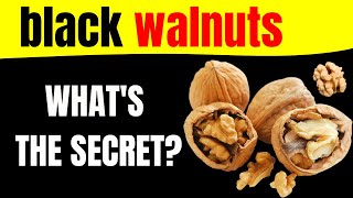 Extraordinary Health Benefits of Black Walnuts From Weight Control to Cancer Prevention [upl. by Atnauq]