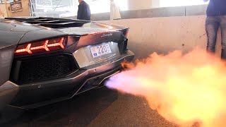 The BEST LAMBORGHINI AVENTADOR Engine SOUNDS Ever [upl. by Jair545]