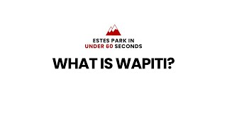 What is Wapiti estespark [upl. by Themis]