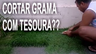 COMO CORTAR GRAMA COM TESOURA DE JARDINAGEM  PAULO FERREIRA [upl. by Sixela]