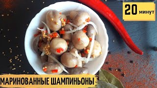 Маринованные Шампиньоны 👍 БЫСТРЫЙ РЕЦЕПТ  20 минут и Закуска на Столе  Как Замариновать Шампиньоны [upl. by Hoon150]