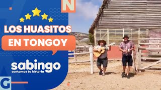 PETROGLIFOS Y BUCEO Los Huasitos de aventura en Tongoy  Sabingo [upl. by Ytsur]