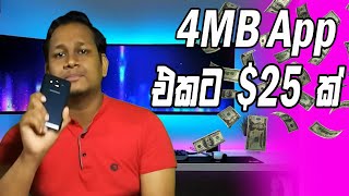 Earn Money Online Sinhala Zareklamy [upl. by Alicea235]