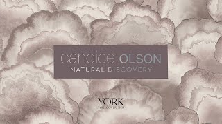 Candice Olson Natural Discovery [upl. by Joappa]