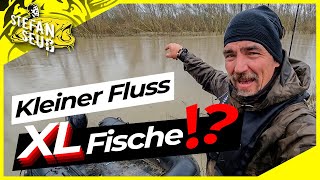 Riesige RAUBFISCHE im kleinen Graben 😱  Das glaubt kein ANGLER ⁉️ [upl. by Rexanne129]