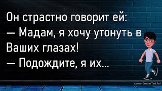 💎Служащий Получил ЗарплатуБольшой Сборник Смешных АнекдотовДля Супер Настроения [upl. by Aneeuq]