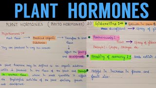 plant growth hormones and their functions  plant growth regulators  plant hormones [upl. by Ecirtac586]