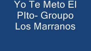 Yo Te Meto El Pito Groupo Los Marranos with Lyrics and Translation [upl. by Aniras]