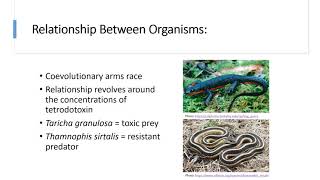 Coevolutionary Arms Race Between RoughSkinned Newts amp The Common Garter Snake [upl. by Auohc75]