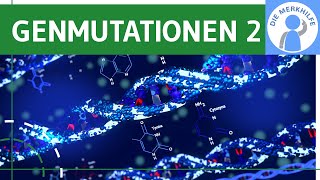 Genmutationen 2  Punktmutation Deletionsmutation amp Insertionsmutation einfach erklärt  Genetik [upl. by Nnaylrebmik]