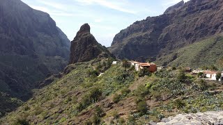 The Real Tenerife Santiago del Teide to Buenavista via Masca  scenic driving and cycling route [upl. by Niliac]