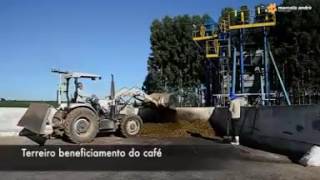 Etapas da produção de café em Patrocinio MG  Video de Marcelo André [upl. by Bultman]