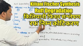 BSc 2nd sem  Kiliani Fischer Synthesis  Ruff Degradation  Arabinose to Glucose  BSc 3rd year [upl. by Barina]