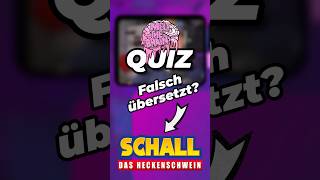 Dr Eiermann  quiz meltthebrain twitch streamer [upl. by Jocko924]