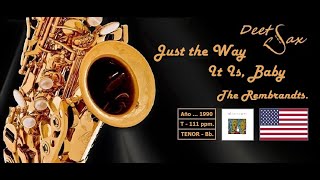 🇺🇸 JUST THE WAY IT IS BABY  The Rembrandts  Tenor Sax [upl. by Modeerf293]