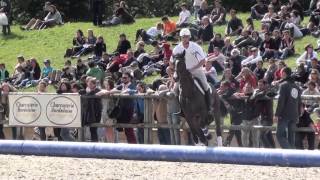 Alltech FEI World Equestrian Games 2014  HorseBall Presentation [upl. by Corinne391]