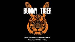 Sharam Jey amp Teenage Mutants  Understand Me BT013 [upl. by Amian]