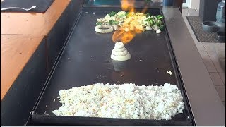 Hibachi Teppanyaki Griddle Top Cooking on a Outdoor Griddle Top [upl. by Bolen969]