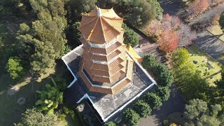 NSW Nan Tien Temple by drone  amazing [upl. by Cumine117]