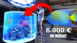 30000 Liter  Deutschlands größte KORALLENZUCHT Mach das NICHT so in deinem Aquarium [upl. by Htebilil]