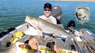 Monster Striper fishing with Roger George San Luis Reservoir 10 4 2022 [upl. by Oluap]