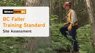 BC Faller Training Standard  Site Assessment 5 of 17 [upl. by Ahsiemal558]