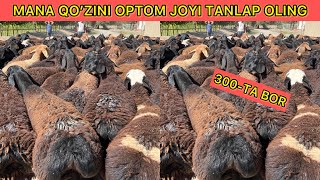 140TA QO’ZILAR KELDI YANGI OBUNACHIMIZDAN YANGI NARXLARDA SHOSHLING [upl. by Suhcnip710]