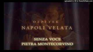 Pietra Montecorvino  Senza Voce Official Soundtrack Napoli Velata  Ferzan Ozpetek [upl. by Orsini]