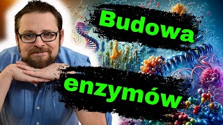 Budowa i działanie enzymów  Kataliza enzymatyczna  Biologia do matury  Metabolizm Zad maturalne [upl. by Nellie10]