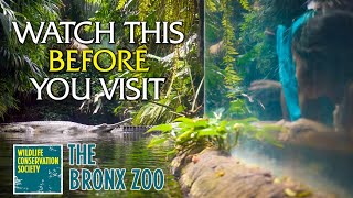 Watch This Before You Visit the Bronx Zoo [upl. by Aihsik987]