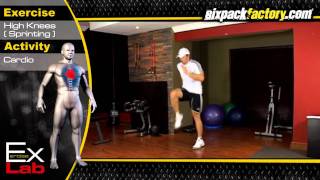 Sprinting  High Knees   Best Cardio Exercises [upl. by Jeffrey]