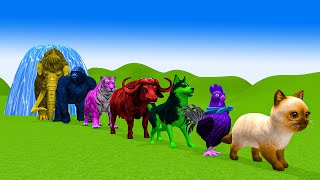 Paint amp Animals Duck Cow Dog Buffalo Zebra Fountain Crossing Transformation Animal Cartoon 1 [upl. by Suilenroc]