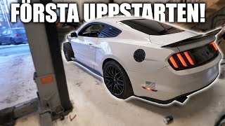 VI LAGAR VÅRAN KROCKADE MUSTANG [upl. by Kamaria]