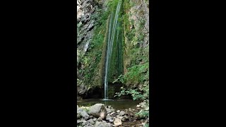 ALCUNE IMMAGINI DELLA CASCATA DELLE CASTAGNE A SEPINO E LA PRESENTAZIONE DEL SUO DOCUMENTARIO [upl. by Aicert]