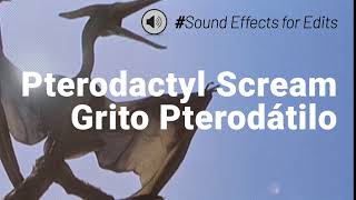 Som de Pterodátilo  Pterodactyl Sound  Sound Effects Dowload [upl. by Hendon324]