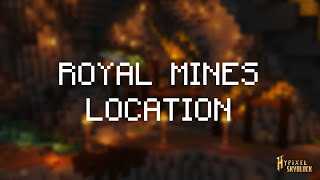 Hypixel Skyblock Dwarven Mines  Royal Mines Location [upl. by Jurkoic]