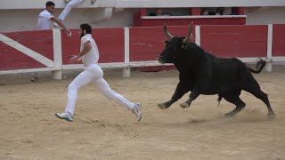 SAINTESMARIES DE LA MERFinale des Taus26102022Course Camarguaise [upl. by Nidroj313]