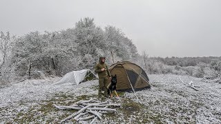 Winter Storm Camping with my Dog  Rain and Snow in the One Day [upl. by Neau]