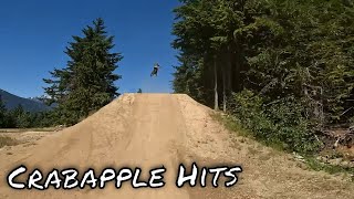 My First Time Ever Hitting All Of Crabapple Hits At The Whistler Bike Park  MTB [upl. by Thaddaus]