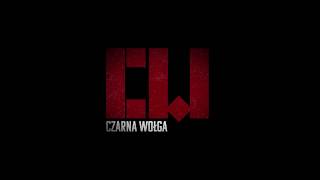 Czarna Wołga  Sezon 1  Trailer 2018 [upl. by Akihsar605]