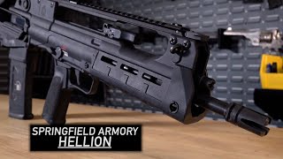 Springfield Armory HELLION [upl. by Divadnhoj]