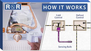 Refrigerator Cold Control Thermostat How it Works  Repair amp Replace [upl. by Nahtanod]