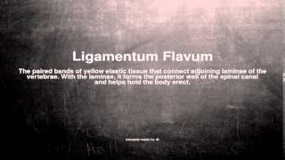 Medical vocabulary What does Ligamentum Flavum mean [upl. by Noek934]