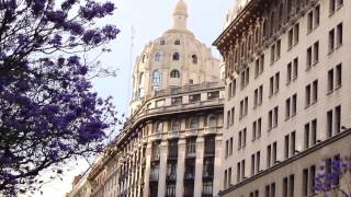 Los Jacarandas de Buenos Aires  un espectáculo en Primavera [upl. by Ulrika]